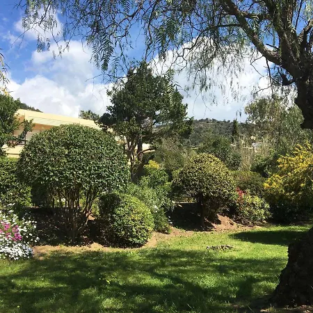 2 Pièces Climatisé Avec Accès Direct Plage, Parking Et Terrasse - - Fr-1-308-175 Le Lavandou